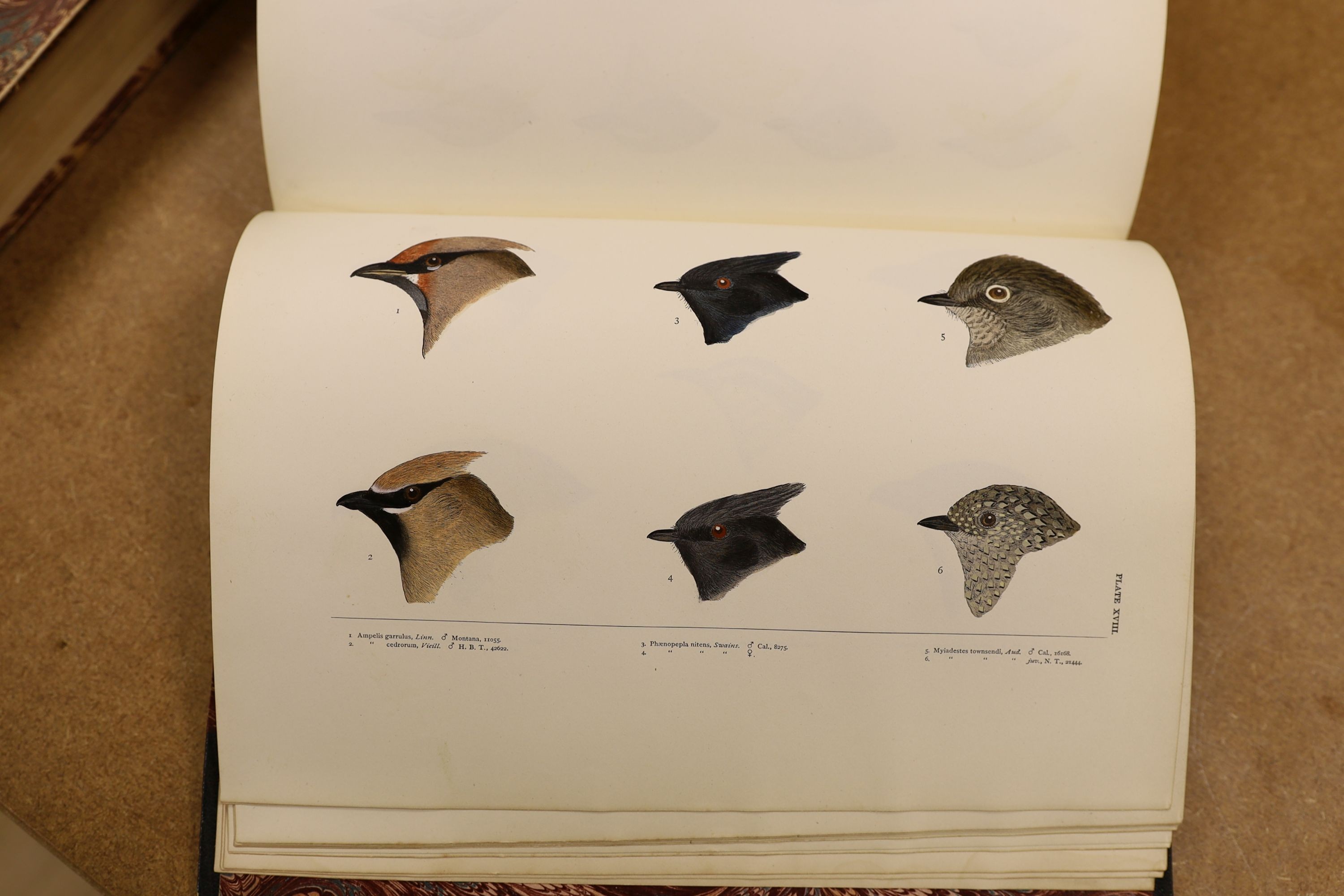 Baird, S.F. & Others - A History of North America Birds: Land Birds, 3 vols., coloured plates and other illus.; old half leather and marbled boards, gilt tops and marbled e/ps., 4to.